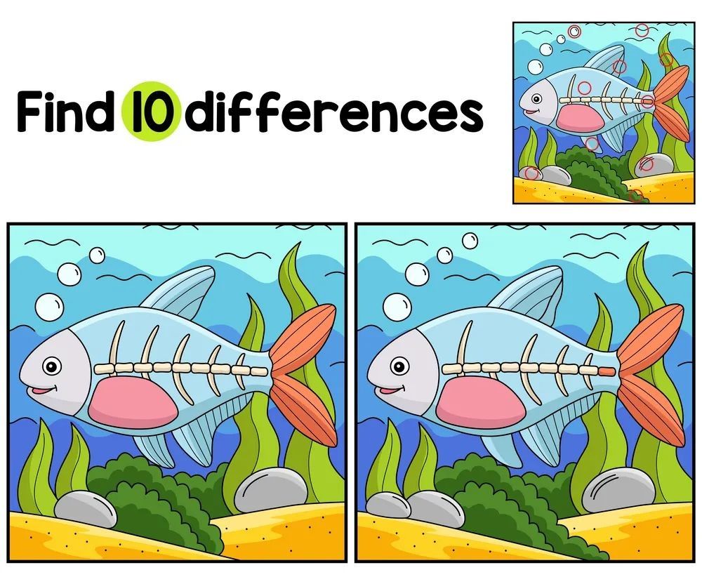 İki Resim Arasındaki 10 Farkı Bul