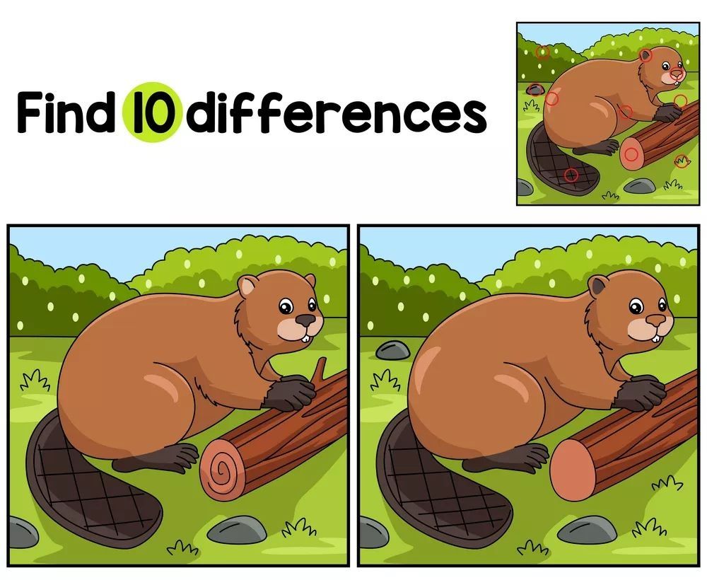 İki Resim Arasındaki 10 Farkı Bul