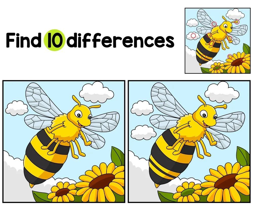 İki Resim Arasındaki 10 Farkı Bul