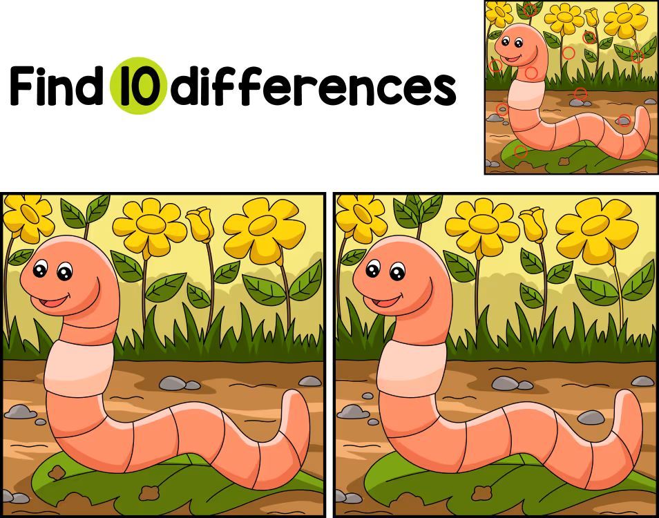 İki Resim Arasındaki 10 Farkı Bul