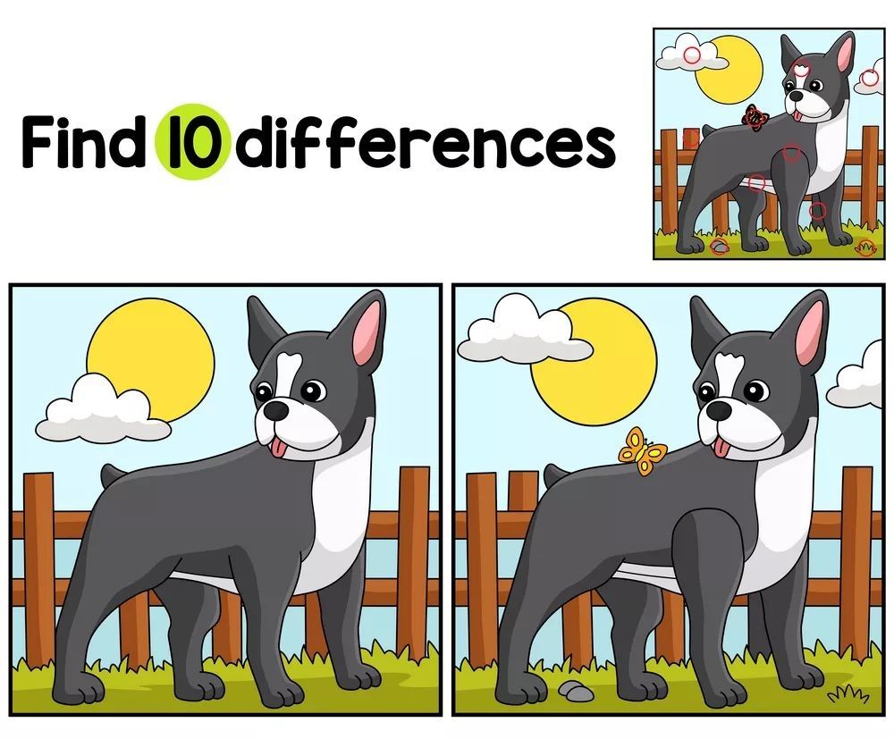 İki Resim Arasındaki 10 Farkı Bul