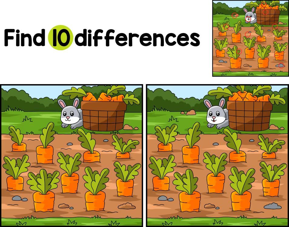 İki Resim Arasındaki 10 Farkı Bul