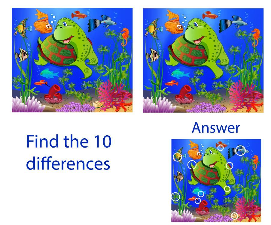 İki Resim Arasındaki 10 Farkı Bul