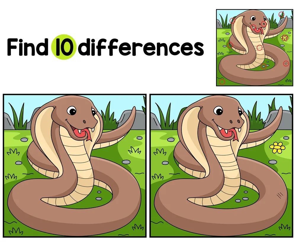 İki Resim Arasındaki 10 Farkı Bul