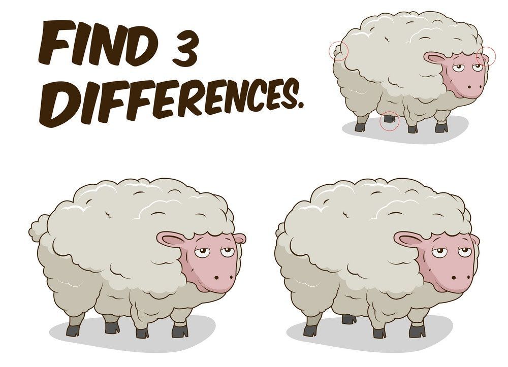 İki Resim Arasındaki 3 Farkı Bul