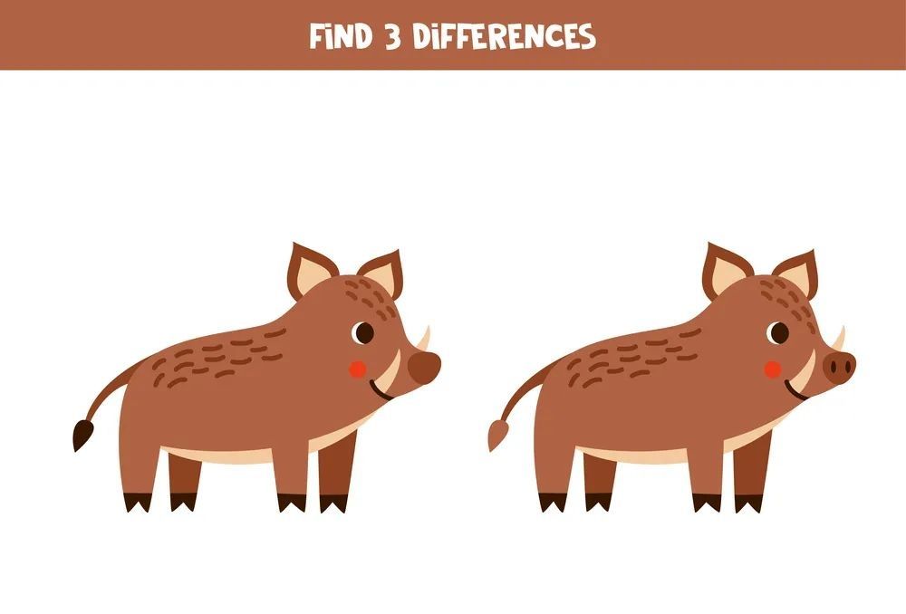 İki Resim Arasındaki 3 Farkı Bul