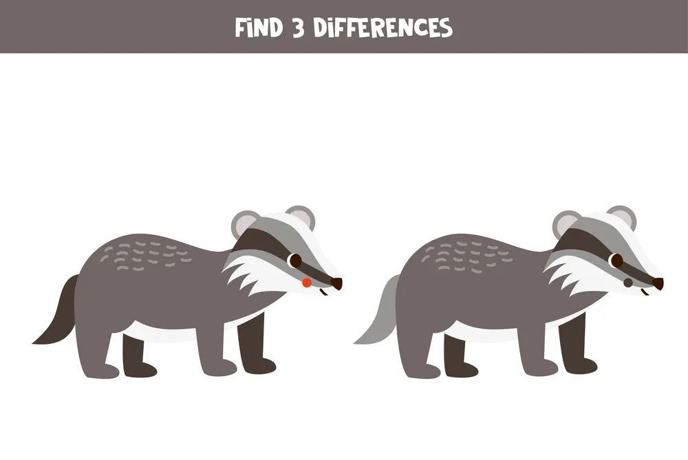 İki Resim Arasındaki 3 Farkı Bul