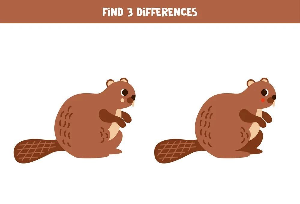 İki Resim Arasındaki 3 Farkı Bul