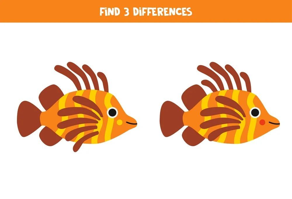 İki Resim Arasındaki 3 Farkı Bul