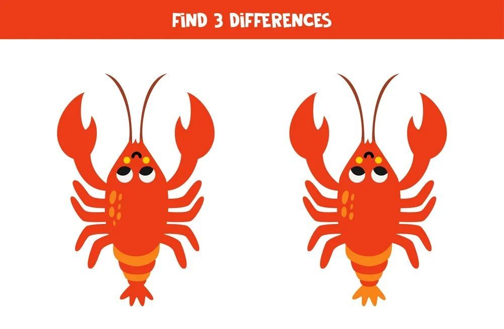 İki Resim Arasındaki 3 Farkı Bul