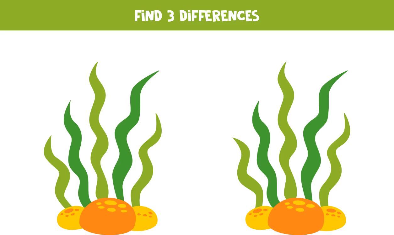 İki Resim Arasındaki 3 Farkı Bul