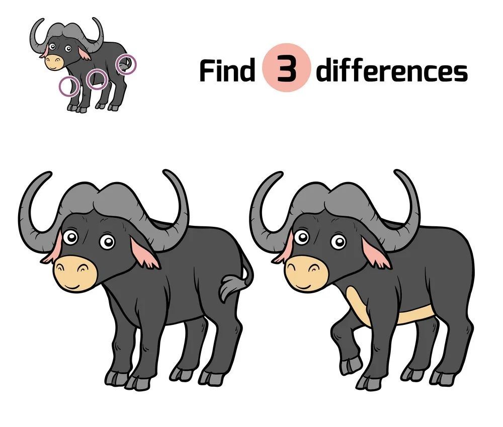 İki Resim Arasındaki 3 Farkı Bul