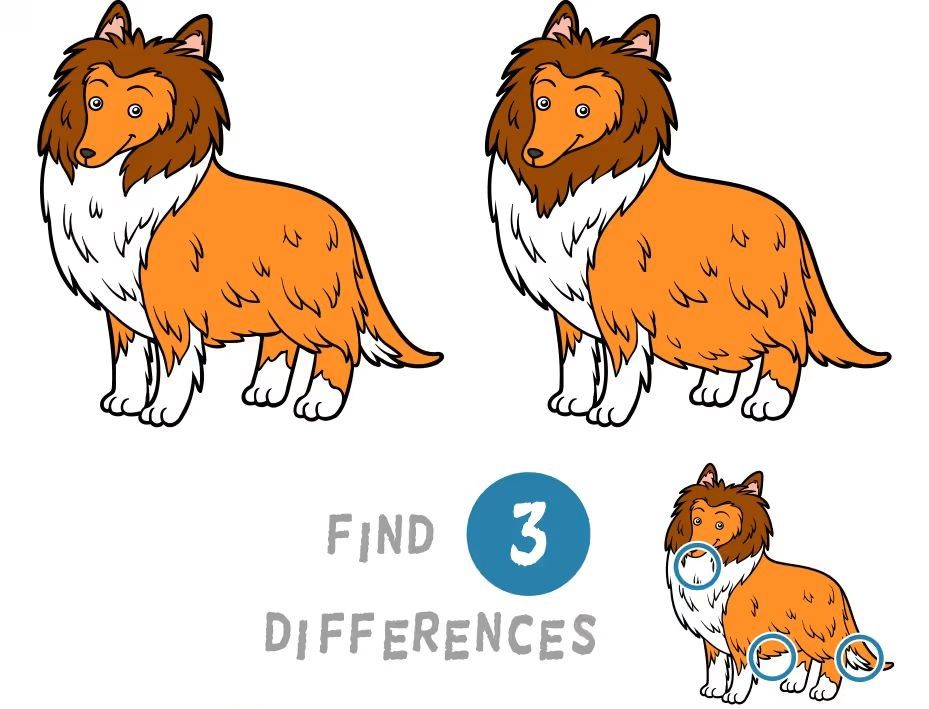 İki Resim Arasındaki 3 Farkı Bul