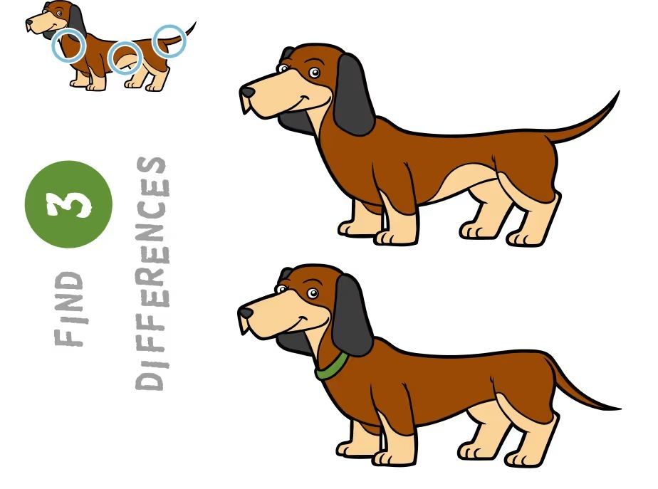 İki Resim Arasındaki 3 Farkı Bul