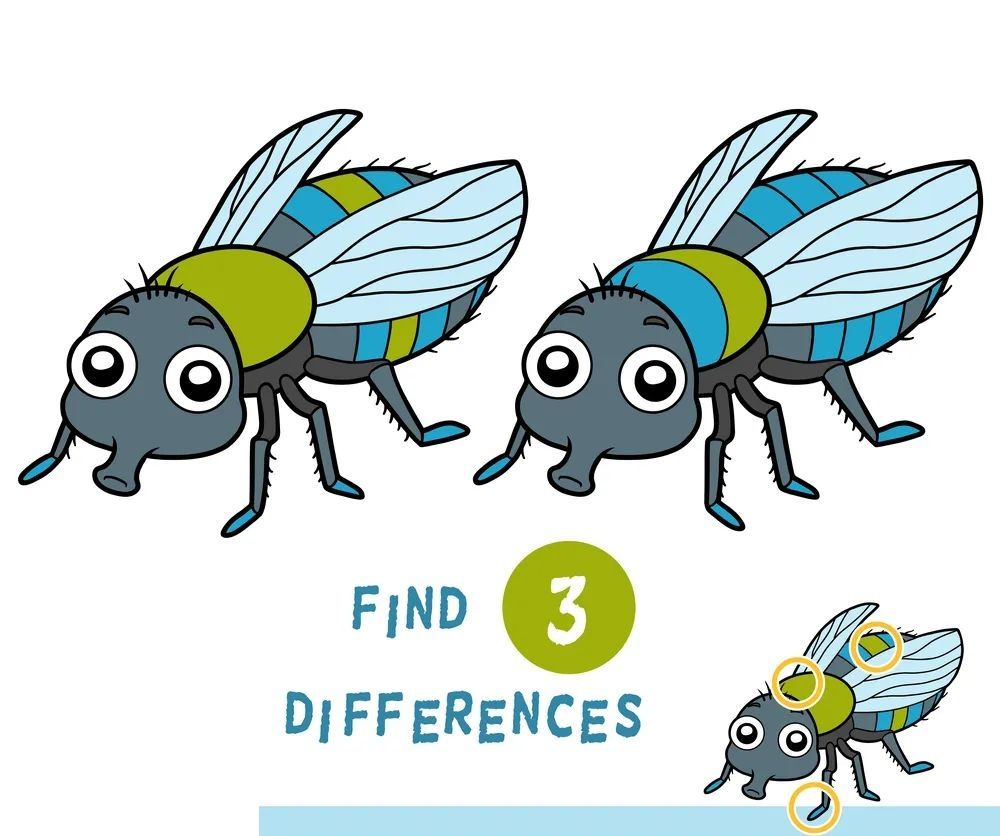 İki Resim Arasındaki 3 Farkı Bul