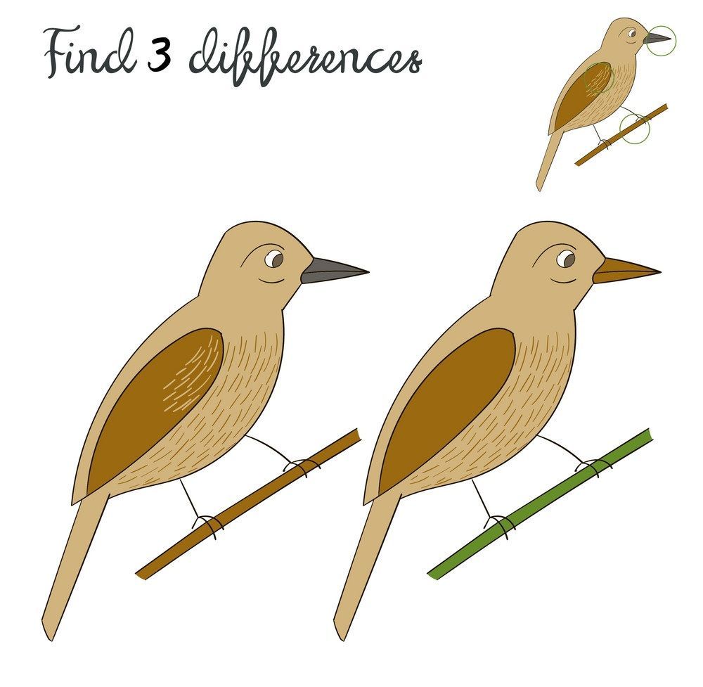 İki Resim Arasındaki 3 Farkı Bul