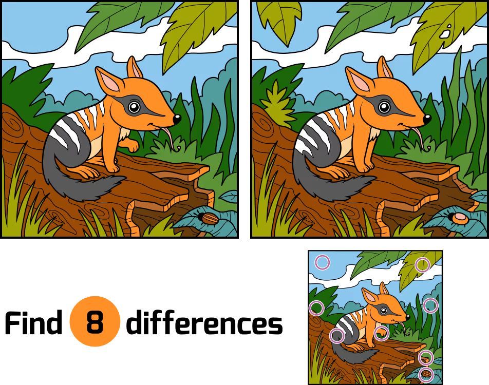 İki Resim Arasındaki 3 Farkı Bul