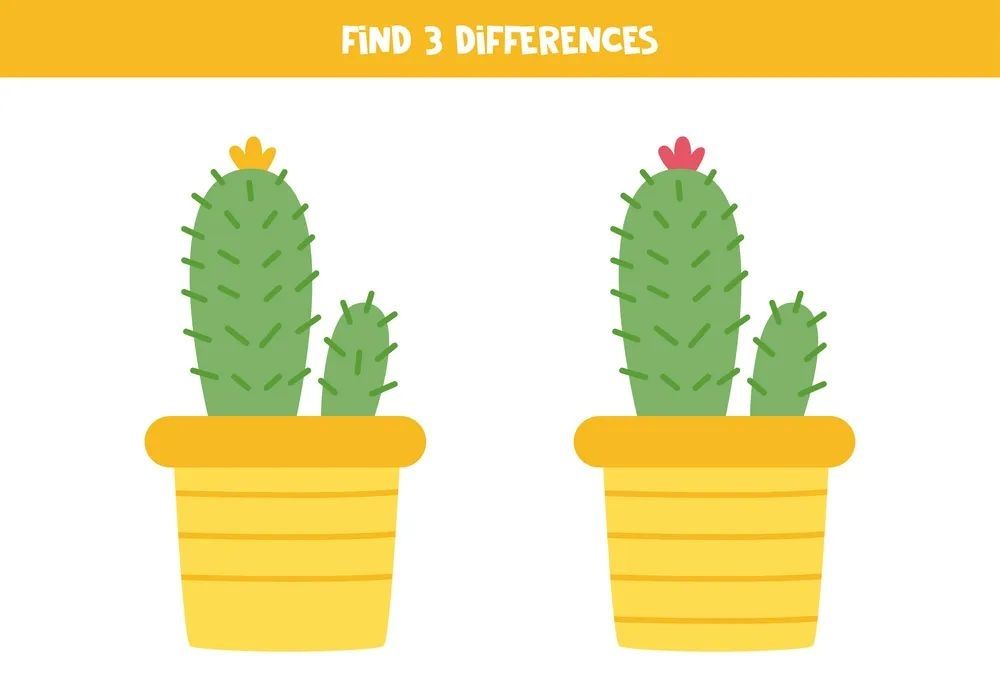 İki Resim Arasındaki 3 Farkı Bul