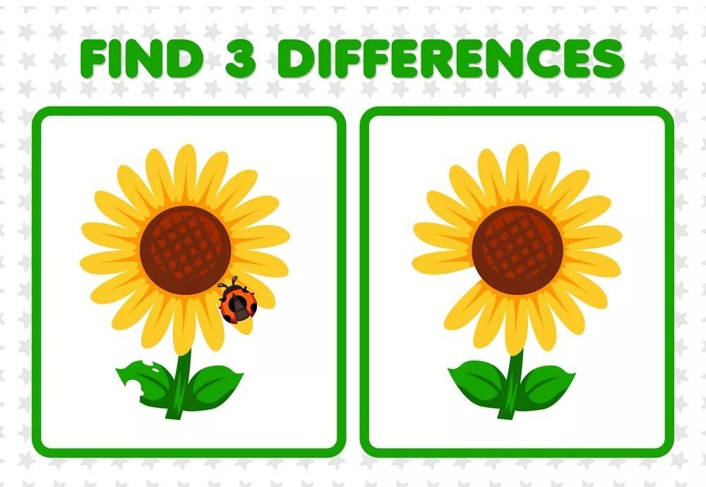 İki Resim Arasındaki 3 Farkı Bul