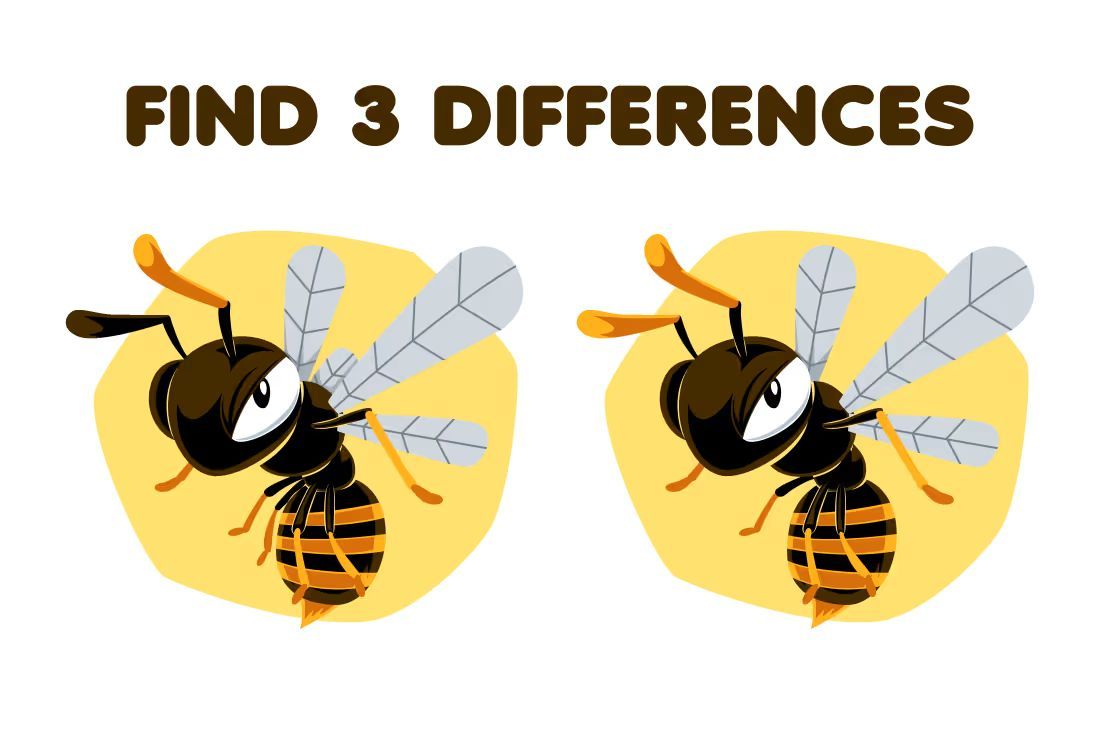 İki Resim Arasındaki 3 Farkı Bul