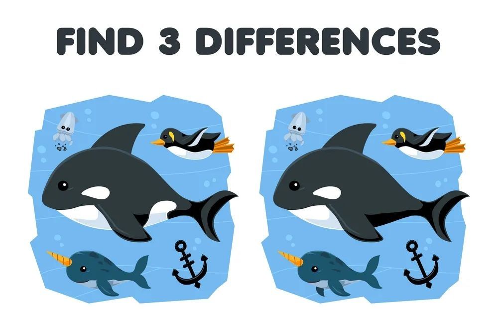 İki Resim Arasındaki 3 Farkı Bul