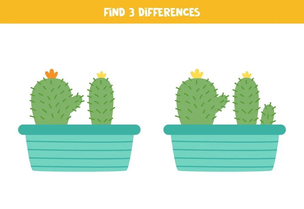 İki Resim Arasındaki 3 Farkı Bul