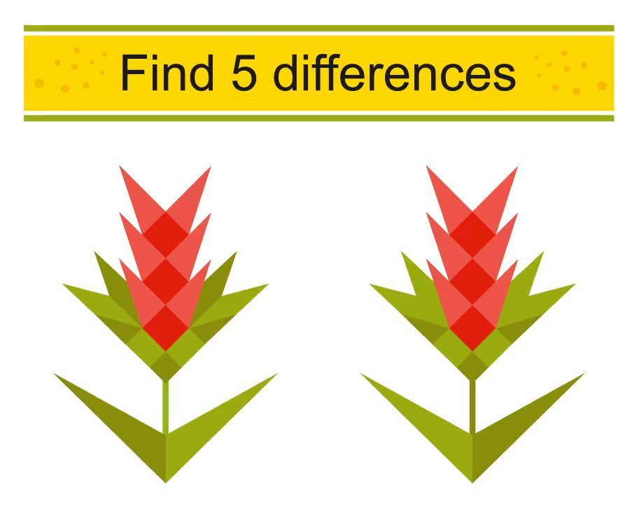 İki Resim Arasındaki 5 Farkı Bul