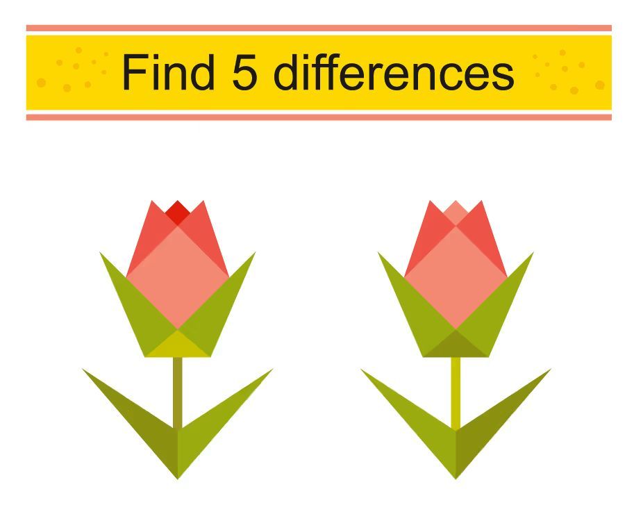 İki Resim Arasındaki 5 Farkı Bul