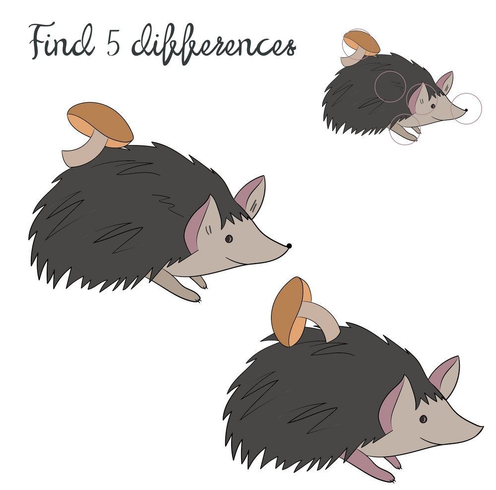 İki Resim Arasındaki 5 Farkı Bul