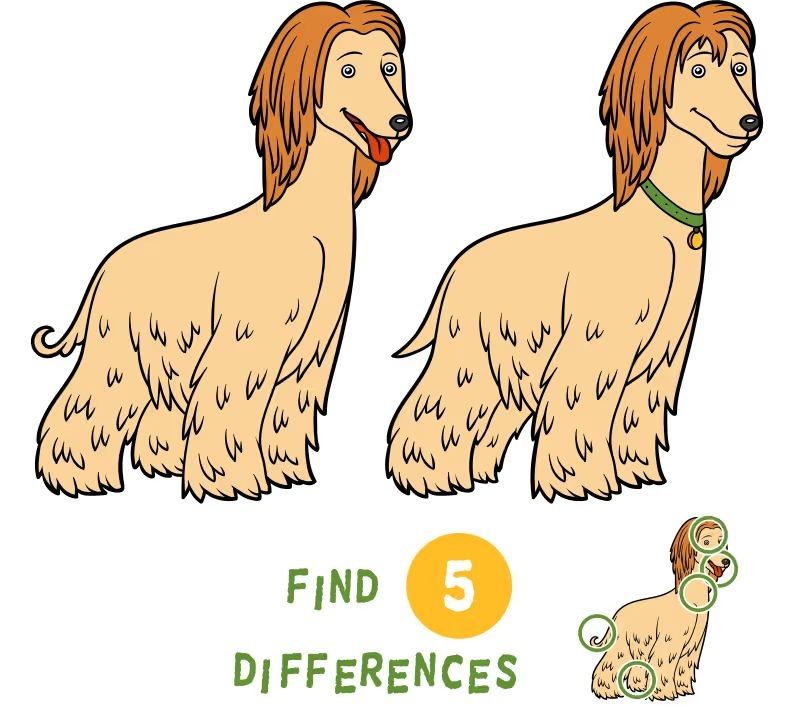 İki Resim Arasındaki 5 Farkı Bul