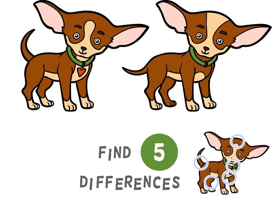 İki Resim Arasındaki 5 Farkı Bul