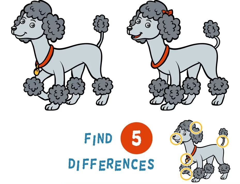 İki Resim Arasındaki 5 Farkı Bul