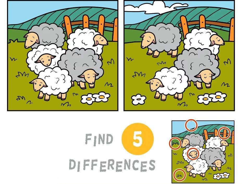 İki Resim Arasındaki 5 Farkı Bul