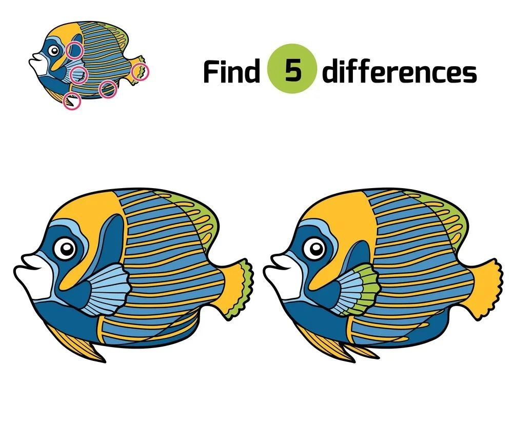 İki Resim Arasındaki 5 Farkı Bul