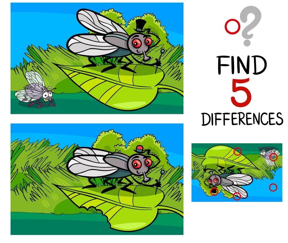 İki Resim Arasındaki 5 Farkı Bul