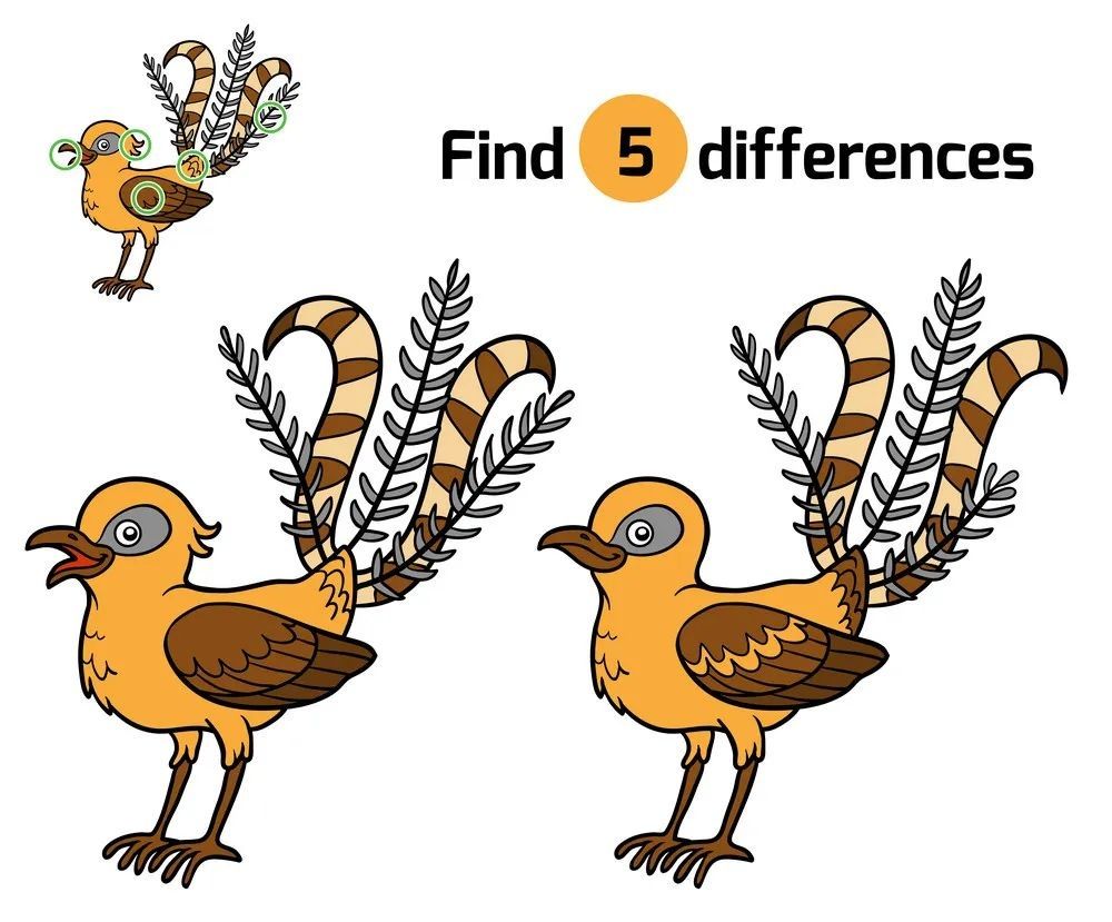 İki Resim Arasındaki 5 Farkı Bul