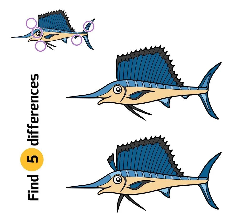 İki Resim Arasındaki 5 Farkı Bul