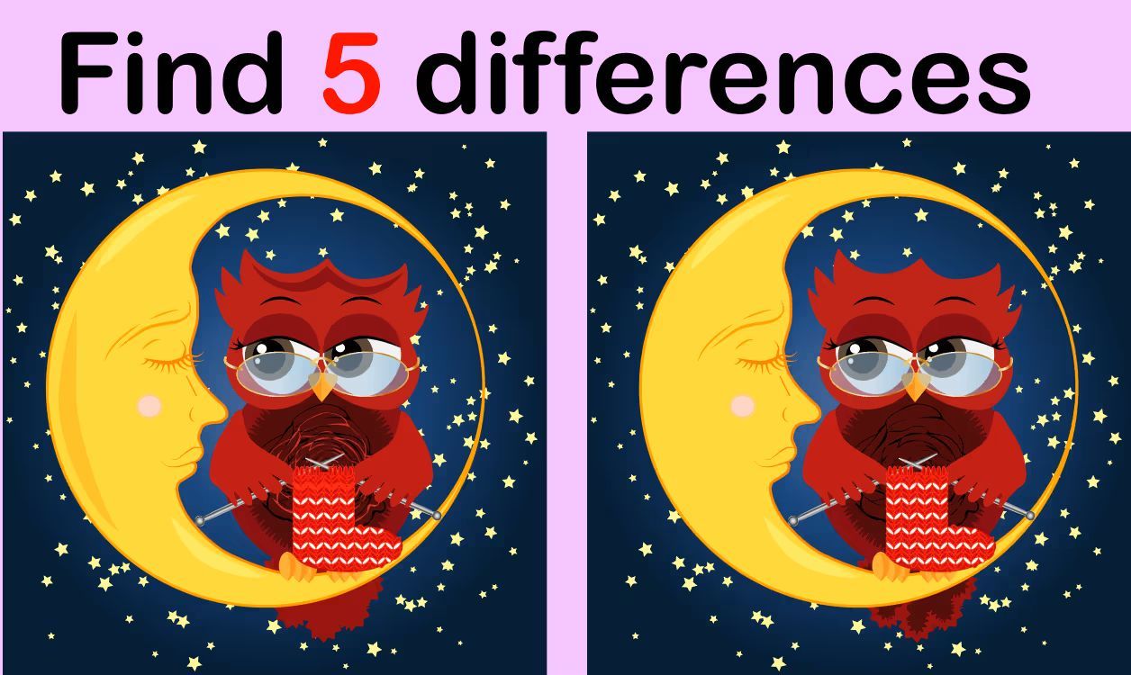 İki Resim Arasındaki 5 Farkı Bul