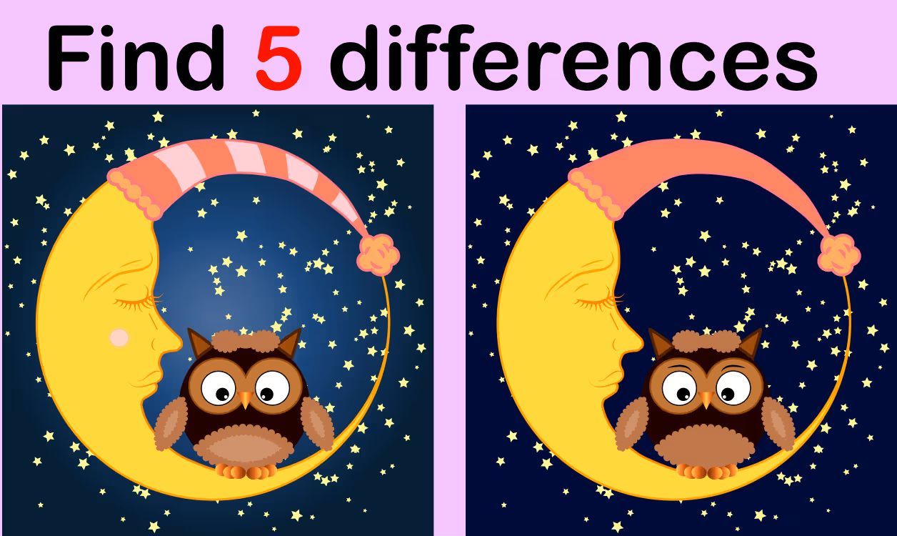 İki Resim Arasındaki 5 Farkı Bul