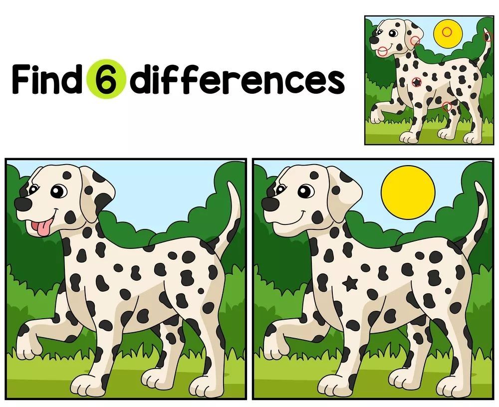 İki Resim Arasındaki 6 Farkı Bul