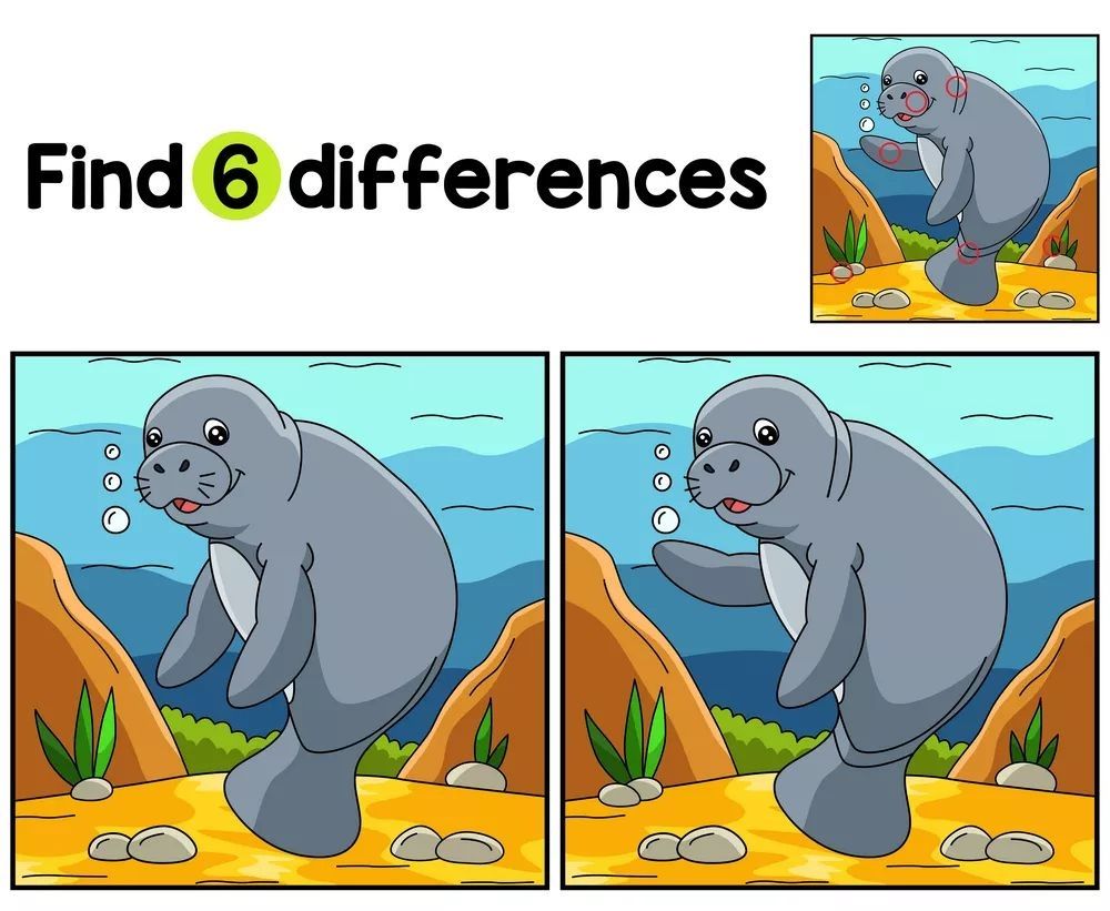 İki Resim Arasındaki 6 Farkı Bul