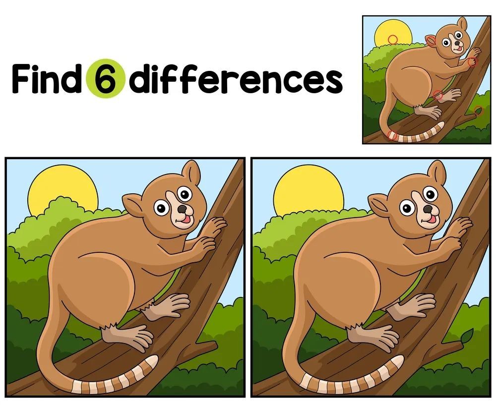 İki Resim Arasındaki 6 Farkı Bul