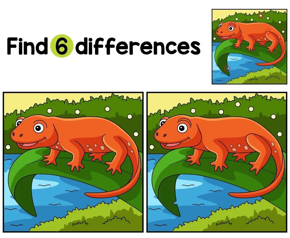 İki Resim Arasındaki 6 Farkı Bul