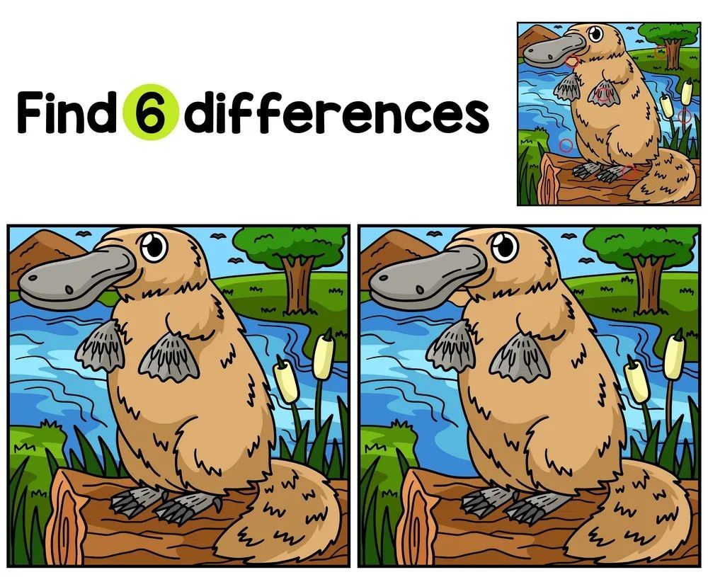 İki Resim Arasındaki 6 Farkı Bul