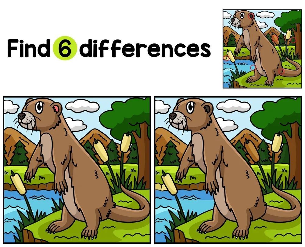 İki Resim Arasındaki 6 Farkı Bul