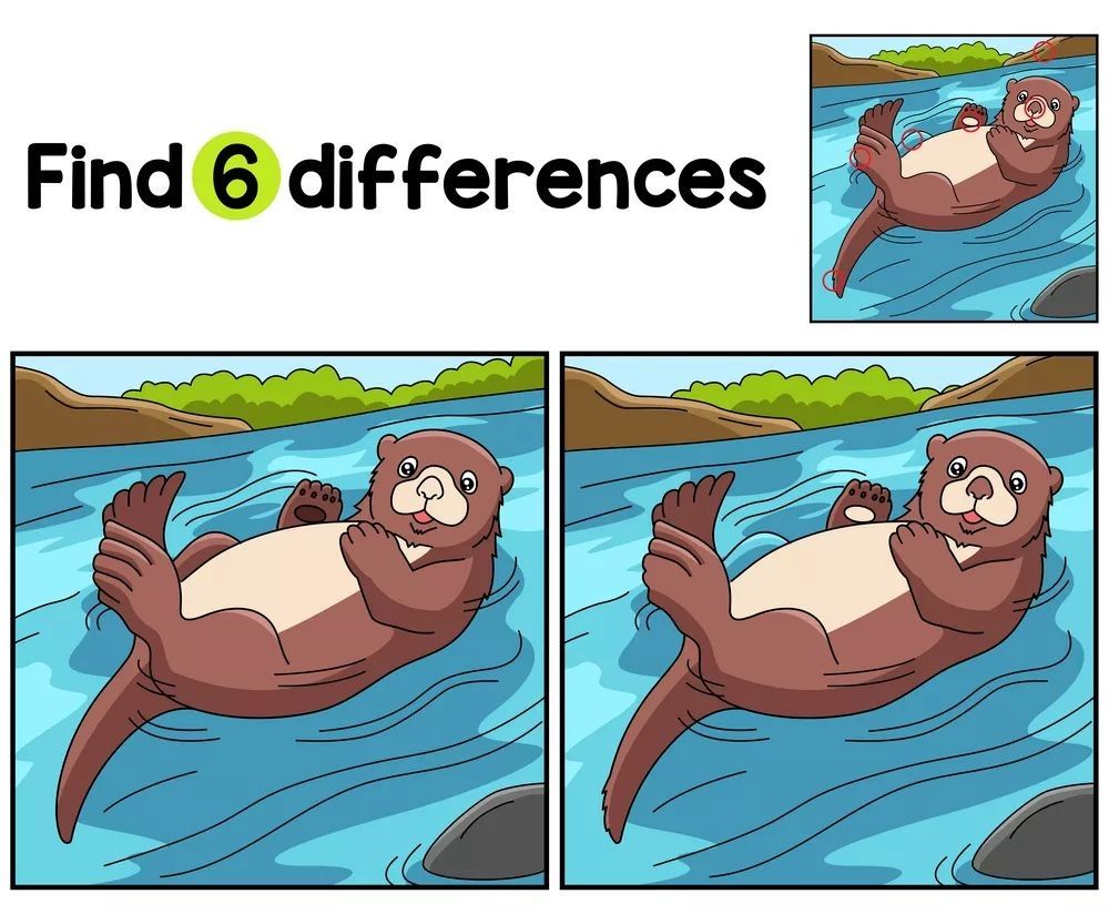 İki Resim Arasındaki 6 Farkı Bul