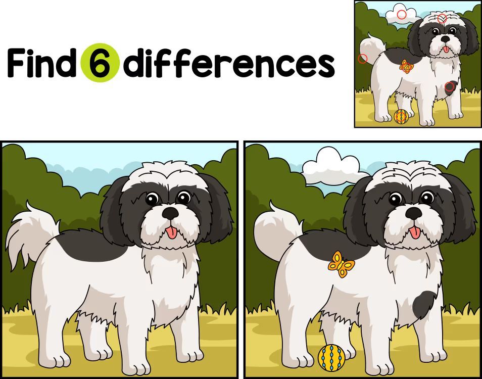 İki Resim Arasındaki 6 Farkı Bul