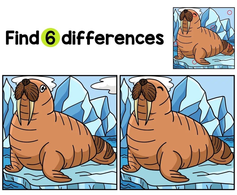 İki Resim Arasındaki 6 Farkı Bul