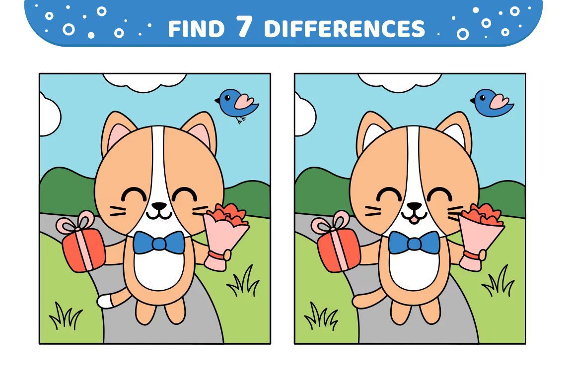 İki Resim Arasındaki 7 Farkı Bul