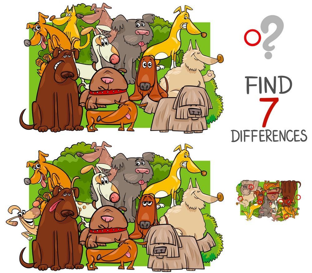 İki Resim Arasındaki 7 Farkı Bul